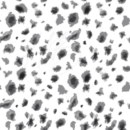 CSD050