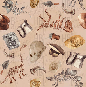 Fossils