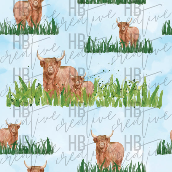 Highland Cows