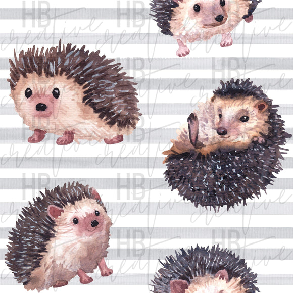 Hedgehog Stripes